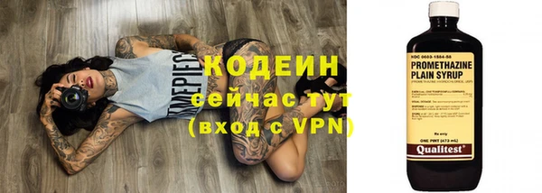 кокс Гусев
