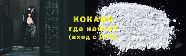 кокс Гусев