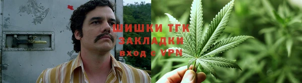 кокс Гусев