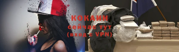 кокс Гусев