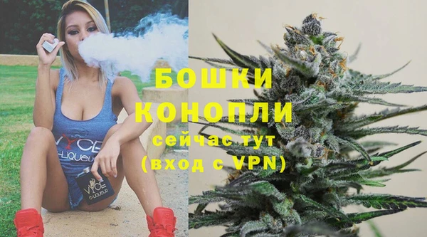 кокс Гусев