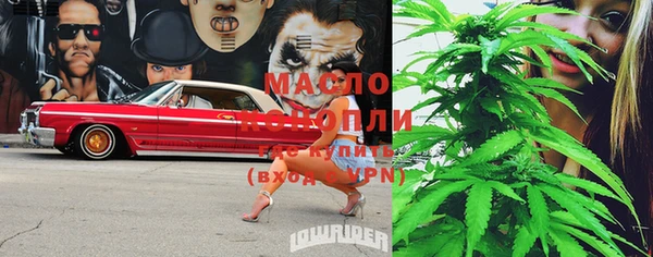 метадон Гусь-Хрустальный