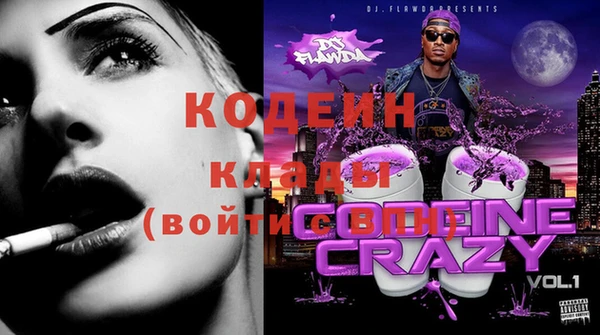кокс Гусев