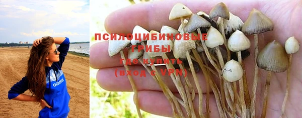 кокс Гусев