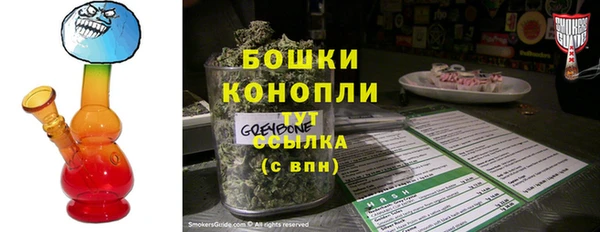метадон Гусь-Хрустальный